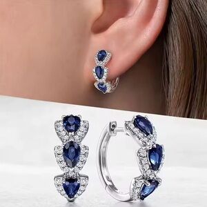 Elegant Silver and Blue Gemstone Earrings